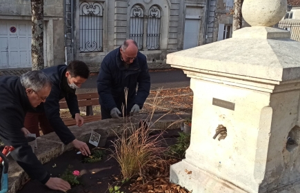 Plantation de rosiers - Place Beaulieu - Cognac - 29/11/2021