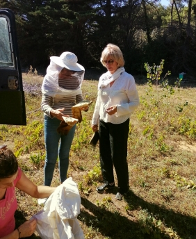 les abeilles dans leur environnement naturel